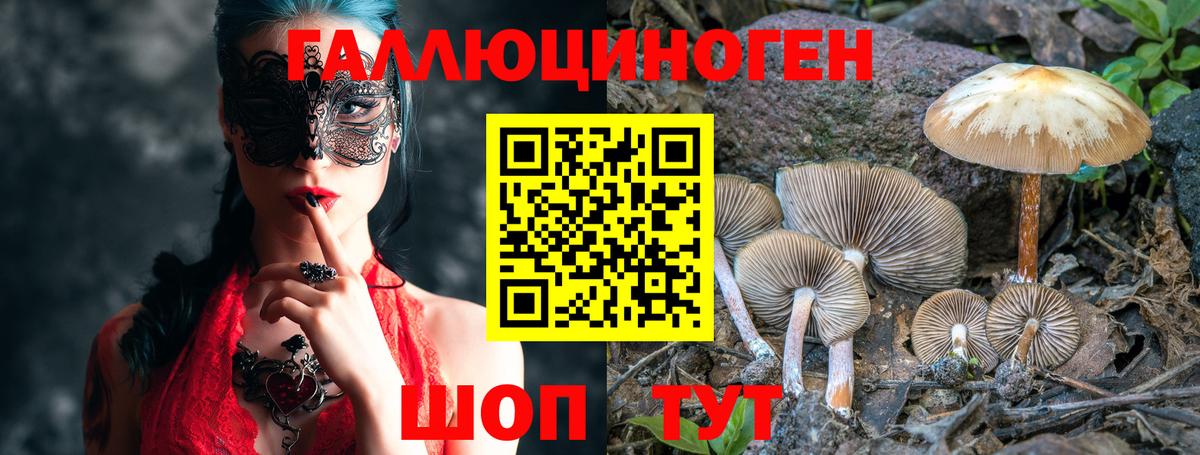 Псилоцибиновые грибы Magic Shrooms Бузулук
