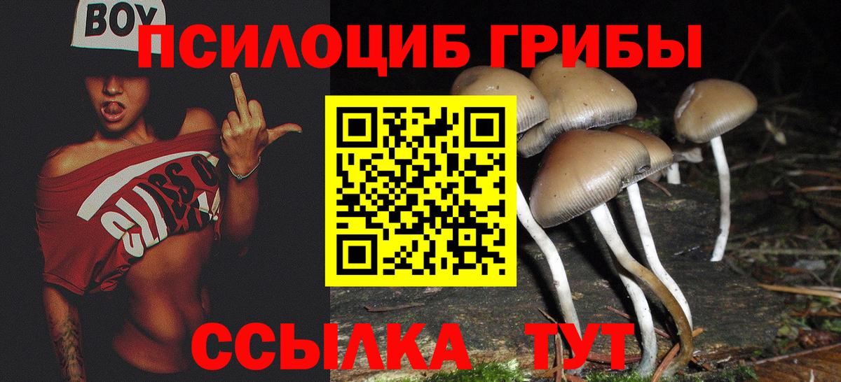 даркнет сайт  Галлюциногенные грибы мухоморы  Вход с VPN  Бузулук  Галлюциногенные грибы Psilocybine cubensis 